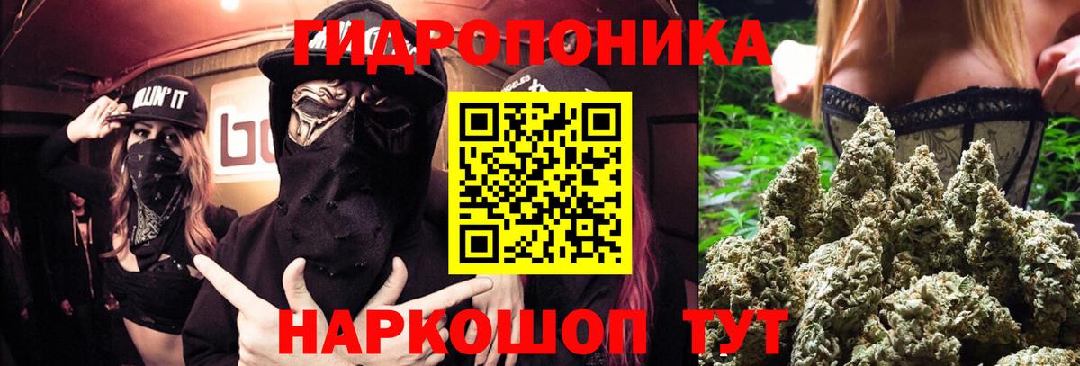 МАРИХУАНА конопля  МАРИХУАНА планчик  Сальск  Вход с VPN  Каннабис сатива 